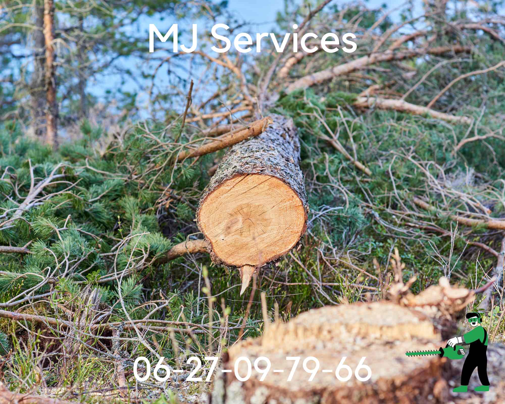 Photo montrant l'équipe de MJ Services Paysagiste effectuant un abattage d'arbre en toute sécuritéPhoto montrant l'équipe de MJ Services Paysagiste effectuant un abattage d'arbre en toute sécurité